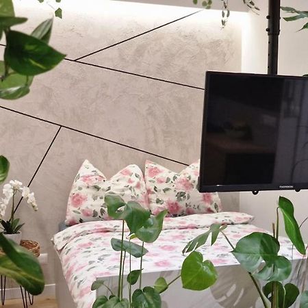 Magic House Apartament Proszowska 58 II 博赫尼亚 外观 照片