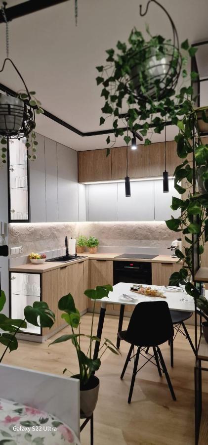 Magic House Apartament Proszowska 58 II 博赫尼亚 外观 照片