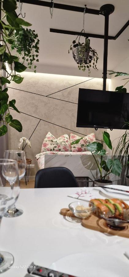 Magic House Apartament Proszowska 58 II 博赫尼亚 外观 照片