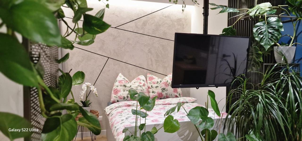Magic House Apartament Proszowska 58 II 博赫尼亚 外观 照片