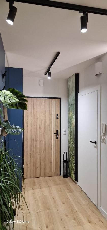 Magic House Apartament Proszowska 58 II 博赫尼亚 外观 照片