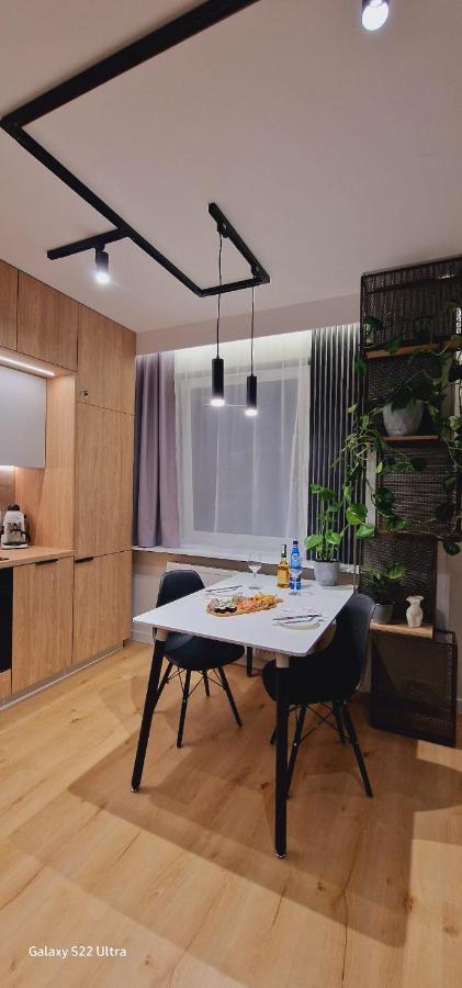 Magic House Apartament Proszowska 58 II 博赫尼亚 外观 照片