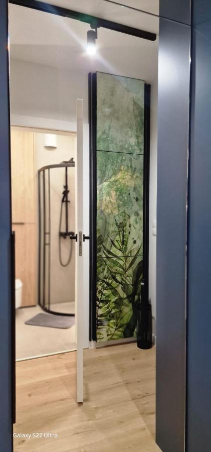 Magic House Apartament Proszowska 58 II 博赫尼亚 外观 照片